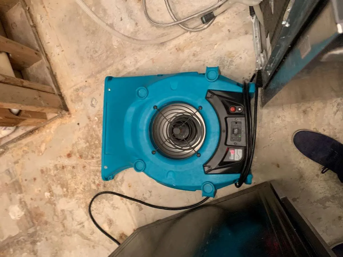 Air mover drying equipment for Mold Remediation & Removal in Highland